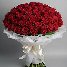 Букет 101 Красная роза Блэк Мэджик в Преображенское