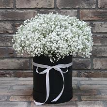 Цветочная композиция из Гипсофила в шляпной коробке в Преображенское